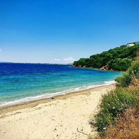 Villa Amazing Surrounded By Forest, Sea View