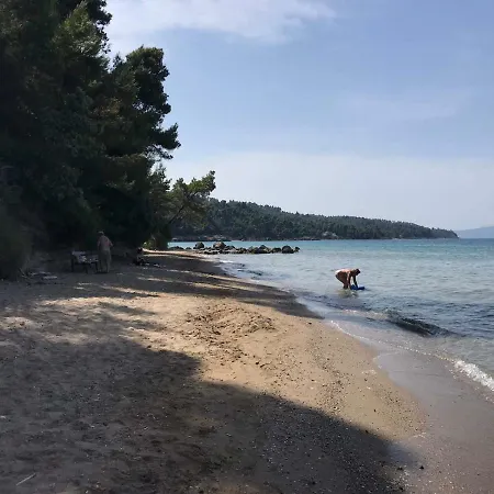Amazing Surrounded By Forest, Sea View Villa *