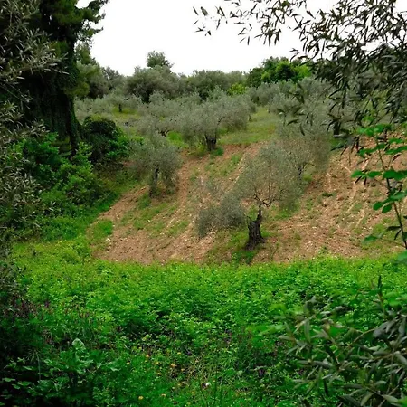 Amazing Surrounded By Forest, Sea View *