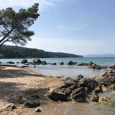 别墅 Amazing Surrounded By Forest, Sea View